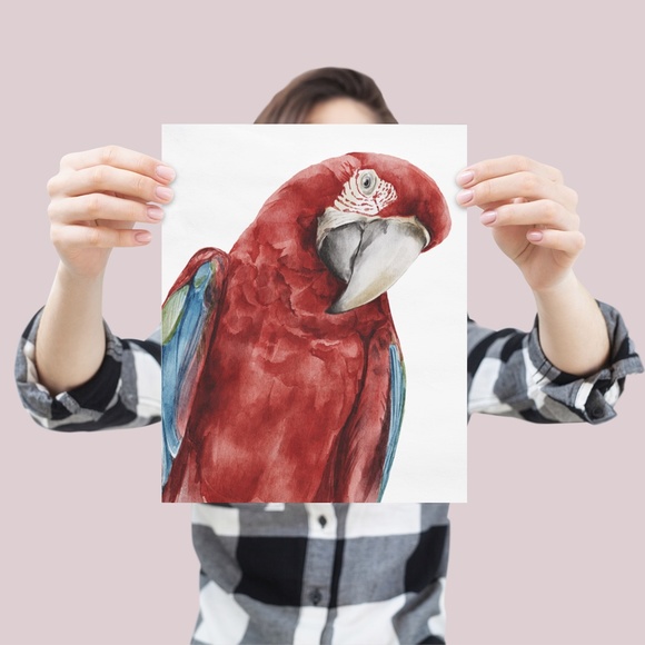Red Macaw Parrot Watercolor Wall Art Print Poster Unframed - Picture 6 of 9